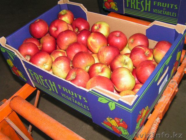 яблоки Польские - Изображение #1, Объявление #17361