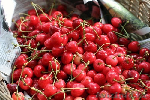 черешня свежая Польская - Изображение #1, Объявление #30080