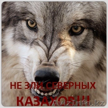 uvozzaimi_4elovek@mail.ru. 87011531413,87779247445 - Изображение #1, Объявление #166217