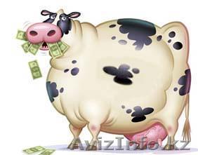 Эффективный поиск сотрудников - Изображение #1, Объявление #459614