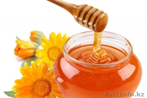 Срочно продам мед (желательно оптом)! - Изображение #1, Объявление #955822