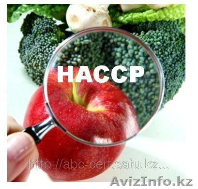 Сертификация СТ РК ИСО 22000  - Изображение #1, Объявление #1028512