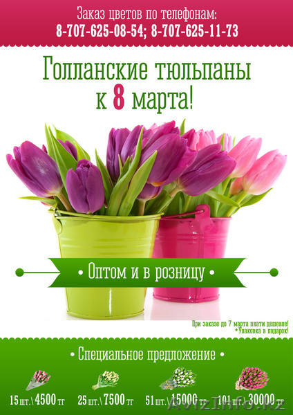 Голландские тюльпаны к 8 марта! - Изображение #1, Объявление #1026823