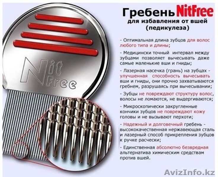 Теперь и в Петропавловске! Гребень от вшей Nit Free(Нит Фри) - Изображение #1, Объявление #1143750