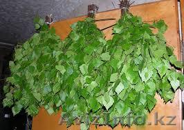 Отличные Березовые банные веники - Изображение #1, Объявление #1354529