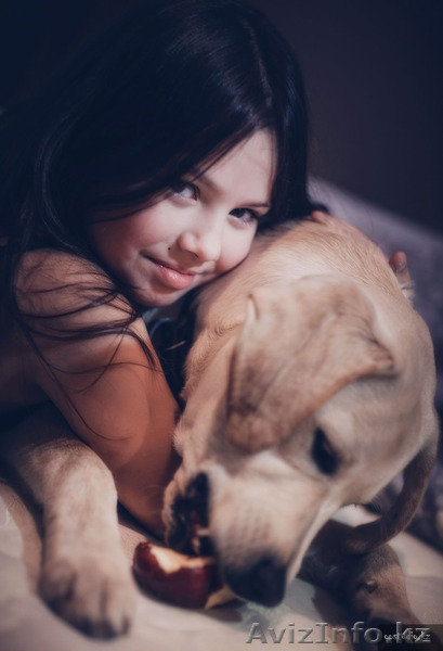 Свадебный фотограф в Петропавловске и области - Изображение #1, Объявление #1383806