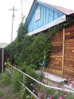 Продам дом в д.Вишнёвка - Изображение #2, Объявление #7396