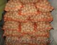 овощи со склада в Польше - Изображение #2, Объявление #30081