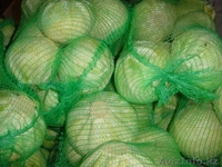 овощи со склада в Польше - Изображение #1, Объявление #30081