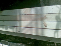 г. Шадринск ООО"Технолес" - Изображение #4, Объявление #139355