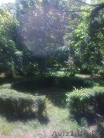 Старинный особняк в Сремских Карловцах.   Национальный  парк Фрушка гора, Сербия - Изображение #6, Объявление #264142