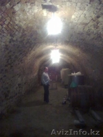 Старинный особняк в Сремских Карловцах.   Национальный  парк Фрушка гора, Сербия - Изображение #8, Объявление #264142