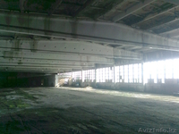 Пром. здание большой площади - Изображение #2, Объявление #782912