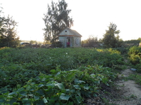 Продам дачу с/о Каштан - Изображение #8, Объявление #896902