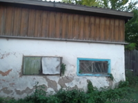 Сдам отдельно стоящее здание - Изображение #3, Объявление #955420