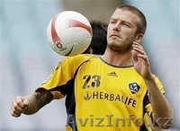 Гербалайф в Петропавловске! - Изображение #1, Объявление #1020896