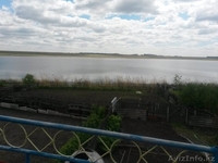 Продам дачу в живописном месте - Изображение #1, Объявление #1249586