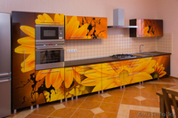 fantasy корпусная мебель на заказ в Петропавловске - Изображение #3, Объявление #1375789