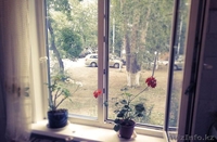 ПРОДАМ 2-комнатную квартиру р н Северного - Изображение #1, Объявление #1481050