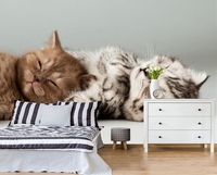 Фрески, фотошторы, фотообои - Изображение #5, Объявление #1695100