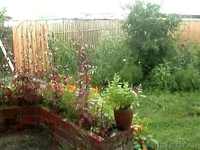  Срочно! Продам двухэтажный большой дом в с. Соколовка! - Изображение #3, Объявление #119983