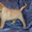 Элитные щенки лабрадора из Омска - Изображение #5, Объявление #376672