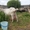 Продажа высокопородного молодняка зааненских коз - Изображение #6, Объявление #1268124
