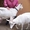 Продажа высокопородного молодняка зааненских коз - Изображение #7, Объявление #1268124