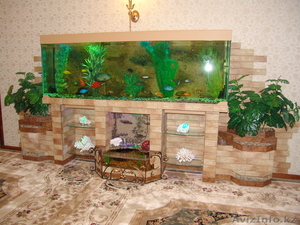 Изготовление аквариумов и живых уголков под заказ - Изображение #2, Объявление #343080