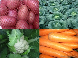 Продаю картофель продовольственный ,  семенной