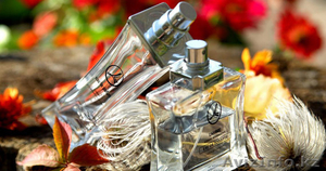 Бесплатная подписка в компанию LAMBRE 