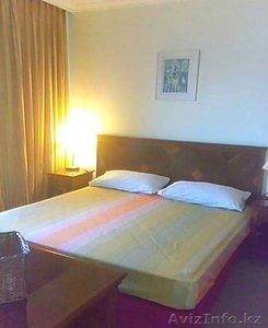 Аренда частной квартиры на берегу моря Хайфы