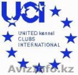 Петропавловск Официальный представитель в Казахстане Международной  Общественной