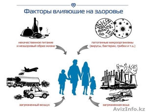 ЛЕЧЕНИЕ ПАРАЗИТОВ и ВИРУСОВ у людей и домашних животных.РАЗГЛАЖИВАНИЕ МОРЩИН. - Изображение #8, Объявление #830406