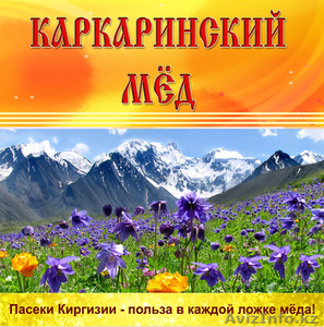 поставляем оптом мёд из Киргизии - Изображение #2, Объявление #875414