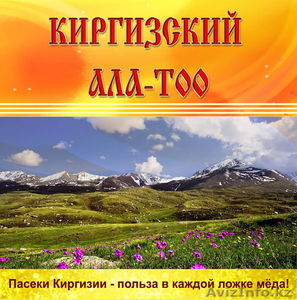 поставляем оптом мёд из Киргизии - Изображение #3, Объявление #875414