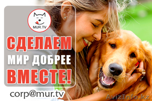 Информационная поддержка