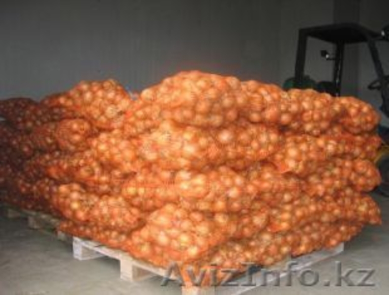 овощи со склада в Польше - Изображение #3, Объявление #30081