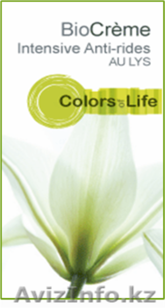 уникальные продукты в виде кремов для красоты  - Изображение #1, Объявление #131057