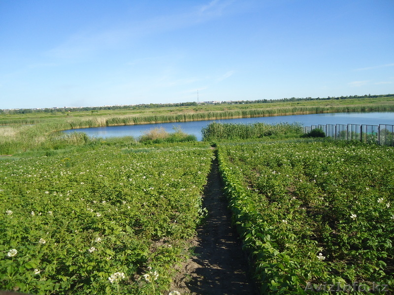 Продам дом не далеко от города. - Изображение #4, Объявление #314728