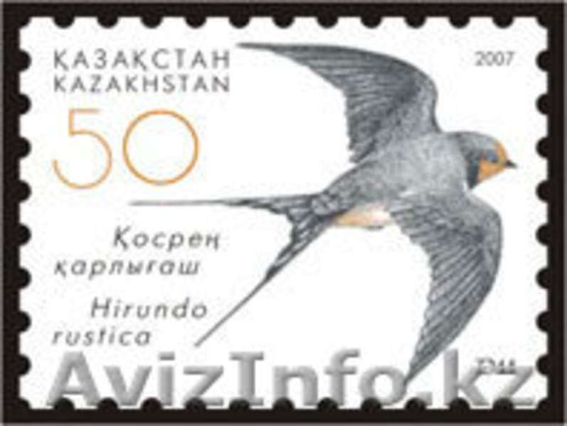 Недорого продам почтовые марки - Изображение #3, Объявление #473896