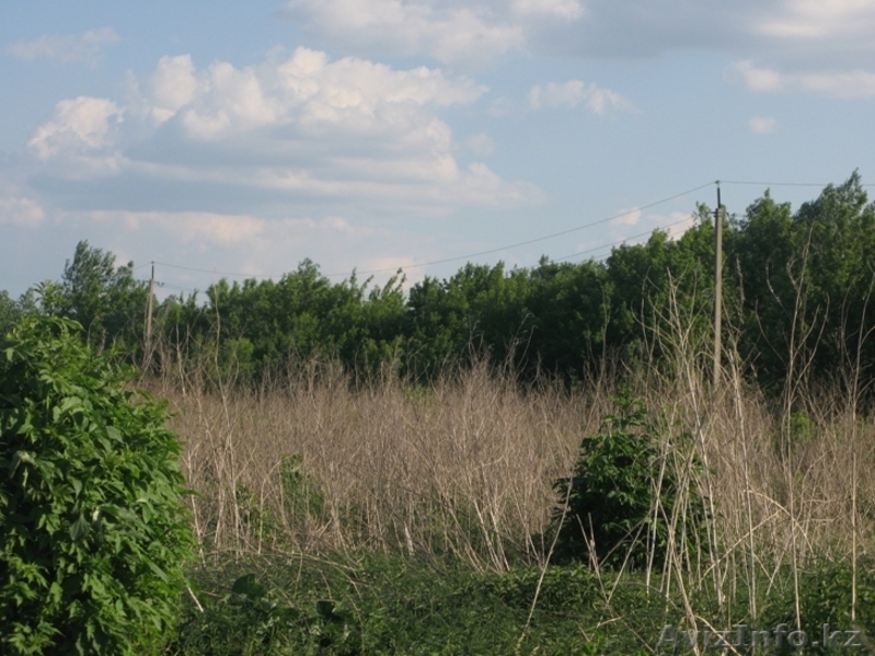 Распродажа земли - Изображение #1, Объявление #753290