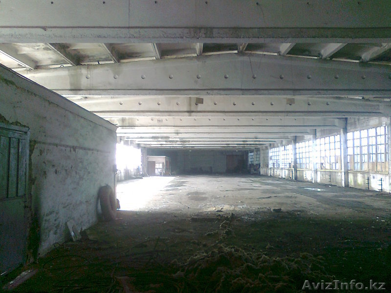 Пром. здание большой площади - Изображение #3, Объявление #782912