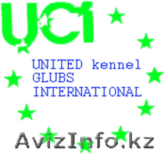 Выставки собак в Петропавловске - Изображение #8, Объявление #643209