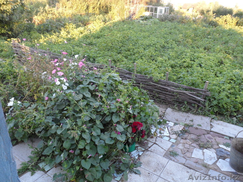 Продам дачу с/о Каштан - Изображение #4, Объявление #896902