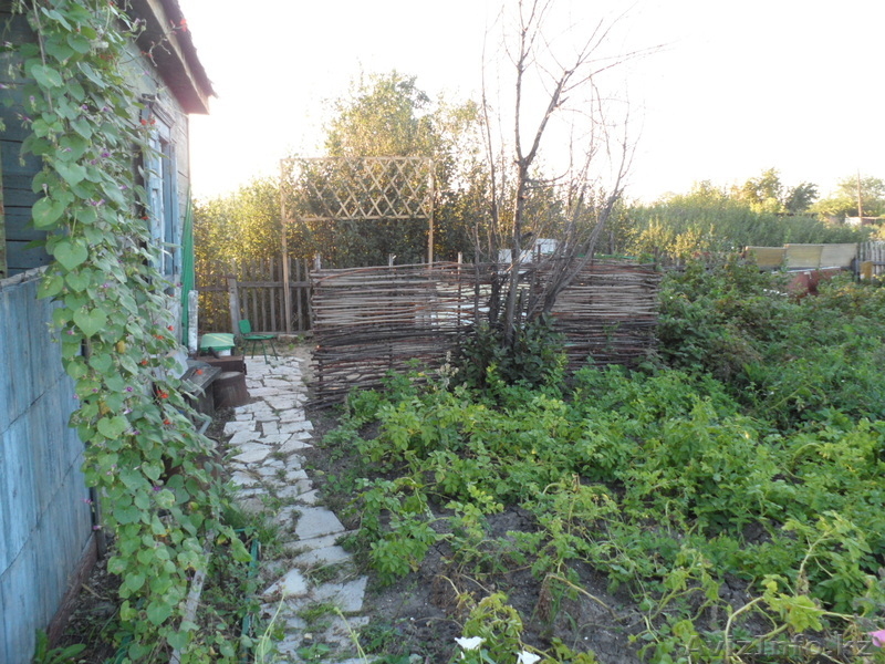 Продам дачу с/о Каштан - Изображение #1, Объявление #896902