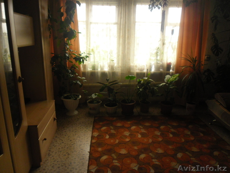 продам дом  в городе Мамлютка. - Изображение #3, Объявление #1008544