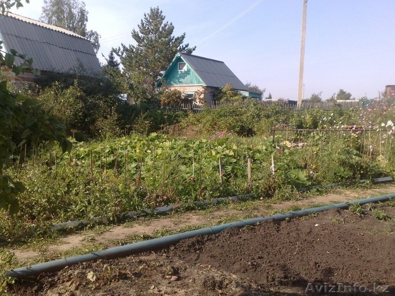 Продам дачу в живописном месте - Изображение #5, Объявление #1249586