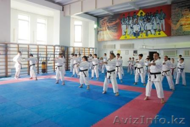 Уважаемые жители г.Петропавловска! Приглашаем Вас в секцию КАРАТЭ-ДО! - Изображение #3, Объявление #1290766