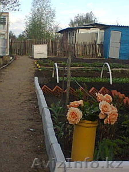 продам дачу общество Ромашка - Изображение #7, Объявление #1292986